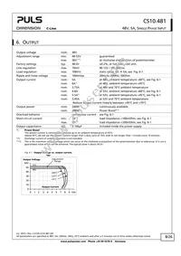 CS10.481 Datasheet Page 8