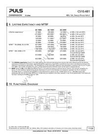 CS10.481 Datasheet Page 11