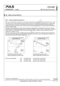 CS10.481 Datasheet Page 22