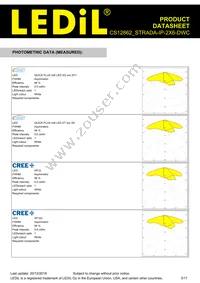 CS12862_STRADA-IP-2X6-DWC Datasheet Page 3