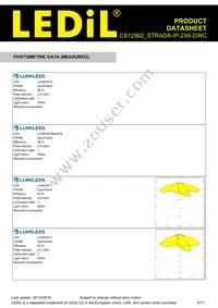 CS12862_STRADA-IP-2X6-DWC Datasheet Page 5