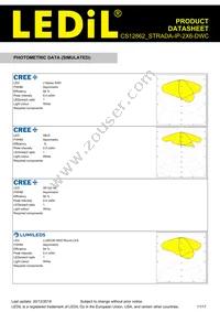 CS12862_STRADA-IP-2X6-DWC Datasheet Page 11