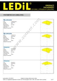 CS12862_STRADA-IP-2X6-DWC Datasheet Page 12