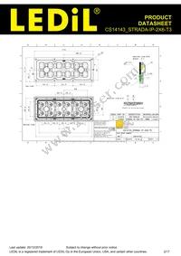 CS14143_STRADA-IP-2X6-T3 Datasheet Page 2