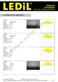 CS14143_STRADA-IP-2X6-T3 Datasheet Page 10