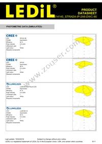 CS14145_STRADA-IP-2X6-DWC-90 Datasheet Page 8