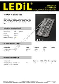 CS15223_STRADA-IP-2X6-T2-C-90 Cover