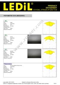 CS15362_STRADA-IP-2X6-T3-B Datasheet Page 10