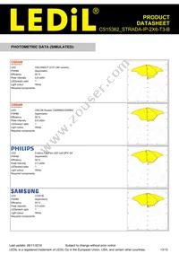 CS15362_STRADA-IP-2X6-T3-B Datasheet Page 13