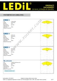 CS15418_STRADA-IP-2X6-SCL Datasheet Page 12