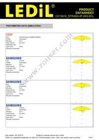 CS15418_STRADA-IP-2X6-SCL Datasheet Page 15