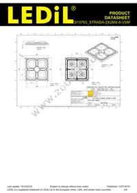 CS15763_STRADA-2X2MX-8-VSM Datasheet Page 2