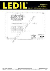 CS15871_STRADA-IP-2X6-T3-L Datasheet Page 2