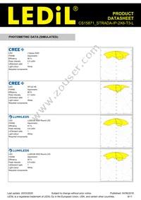 CS15871_STRADA-IP-2X6-T3-L Datasheet Page 8