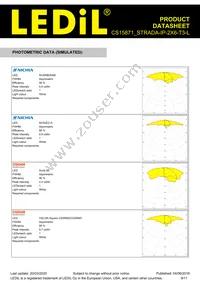 CS15871_STRADA-IP-2X6-T3-L Datasheet Page 9