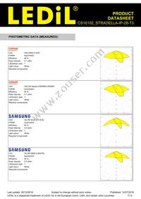 CS16102_STRADELLA-IP-28-T3 Datasheet Page 7