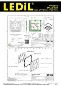 CS16324_STRADELLA-IP-28-HB-W Datasheet Page 2