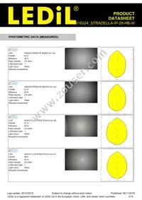 CS16324_STRADELLA-IP-28-HB-W Datasheet Page 3