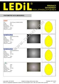 CS16324_STRADELLA-IP-28-HB-W Datasheet Page 7