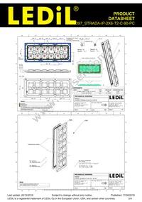 CS16397_STRADA-IP-2X6-T2-C-90-PC Datasheet Page 2