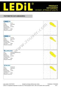 CS16401_STRADA-IP-2X6-PX Datasheet Page 4