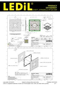 CS16577_STRADELLA-IP-28-VSM Datasheet Page 2