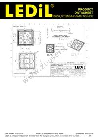 CS16658_STRADA-IP-8MX-T2-C-PC Datasheet Page 2