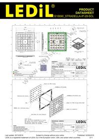 CS16690_STRADELLA-IP-28-SCL Datasheet Page 2