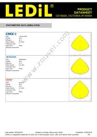 CS16839_VICTORIA-IP-WWW Datasheet Page 4