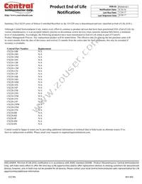 CS220-25PB Datasheet Page 4