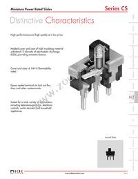 CS22BNW03 Datasheet Page 2