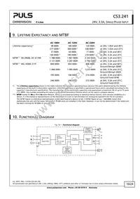 CS3.241 Datasheet Page 10