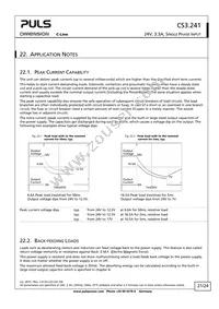 CS3.241 Datasheet Page 21