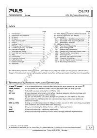 CS5.243 Datasheet Page 2