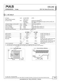 CS5.243 Datasheet Page 4