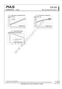 CS5.243 Datasheet Page 5