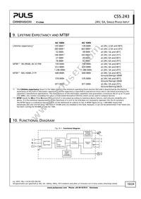 CS5.243 Datasheet Page 10