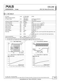 CS5.244 Datasheet Page 4