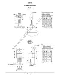 CS8161YT5 Datasheet Page 10