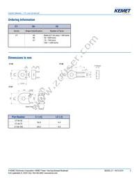 CT-07-50 Datasheet Page 2