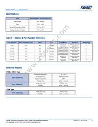 CT-07-50 Datasheet Page 4