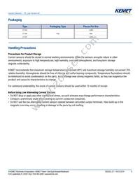 CT-07-50 Datasheet Page 5