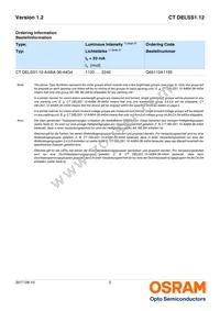 CT DELSS1.12-AABA-36-44G4 Datasheet Page 2