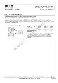 CT10.241-C1 Datasheet Page 16