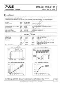 CT10.481 Datasheet Page 5