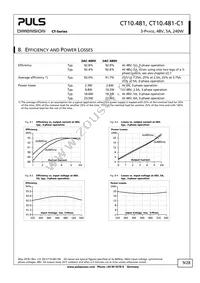 CT10.481 Datasheet Page 9