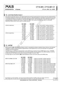 CT10.481 Datasheet Page 12