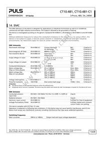 CT10.481 Datasheet Page 13