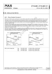 CT10.481 Datasheet Page 22