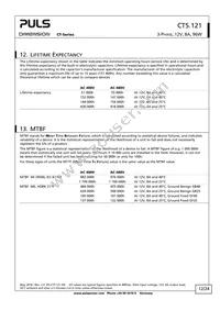 CT5.121 Datasheet Page 12